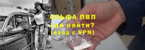ECSTASY Богородск
