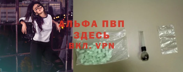 ECSTASY Богородск