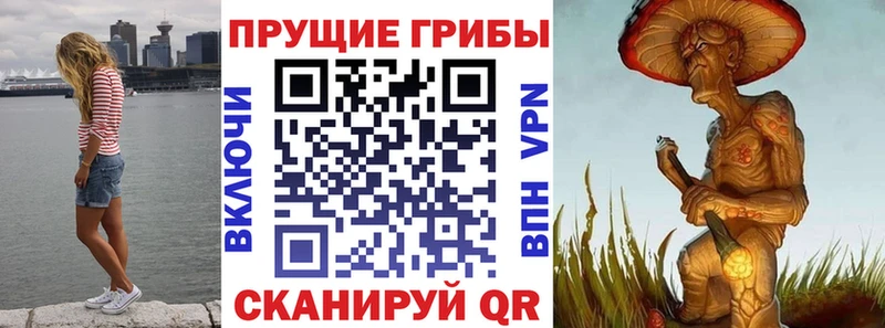 Псилоцибиновые грибы Magic Shrooms  кракен ONION  Светлогорск 